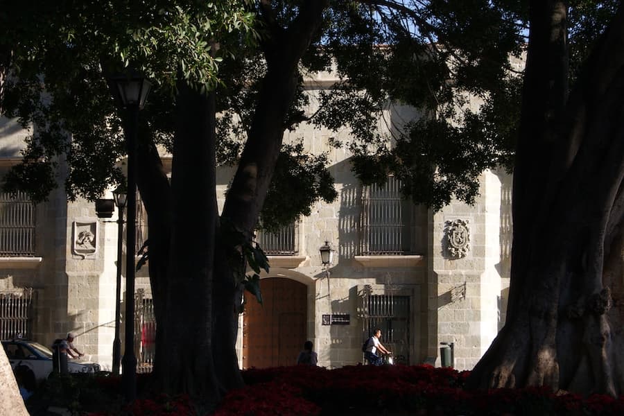 Exhibición de arte plástico en el Museo de los Pintores Oaxaqueños MUPO